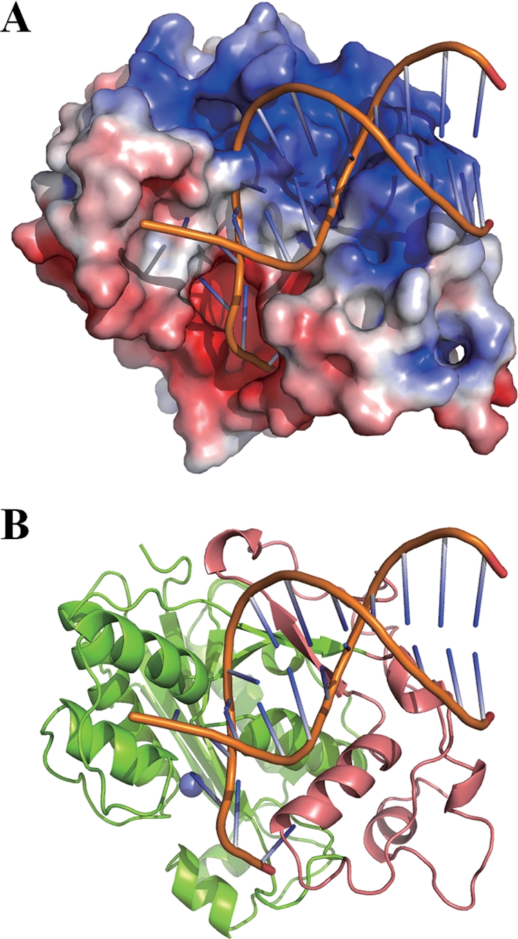 FIG. 7.