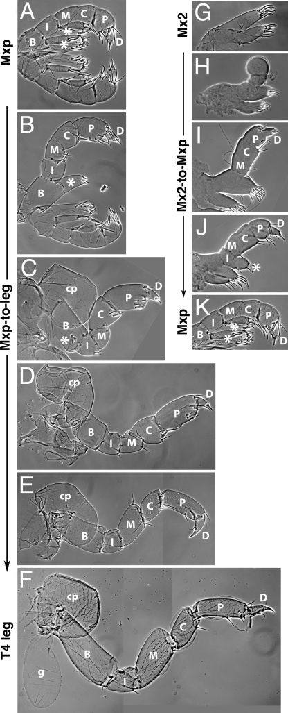 Fig. 4.