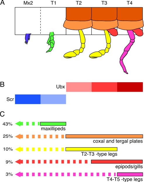 Fig. 5.