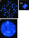 <b>FIG. 2.</b>