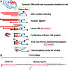 <b>FIG. 1.</b>