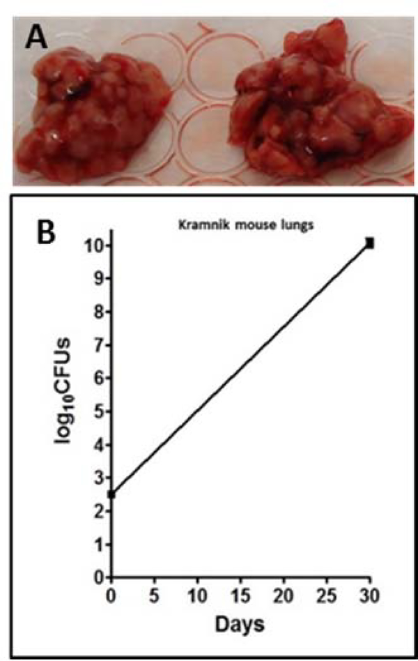 Fig. 2: