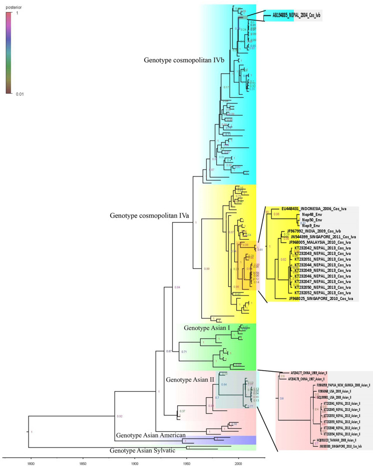 Fig 6