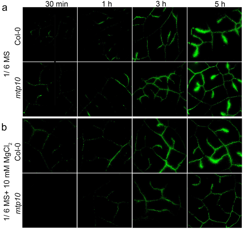 Figure 3.