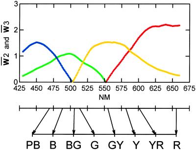 Fig 5.