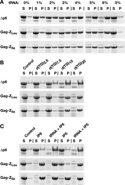 FIG. 7.