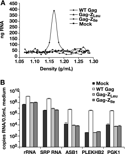 FIG. 3.