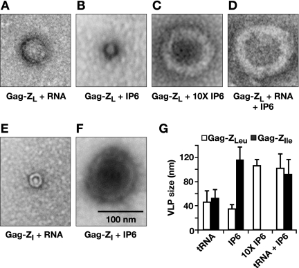 FIG. 8.