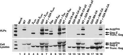 FIG. 4.