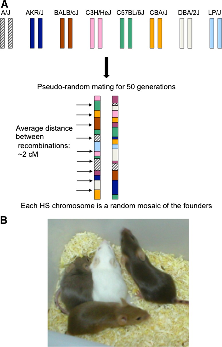 Fig. 1