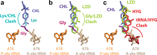 Figure 6.