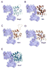 Figure 7