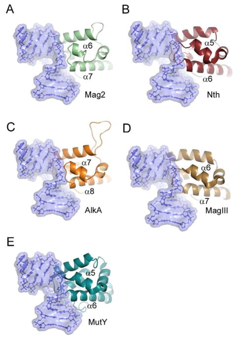 Figure 7