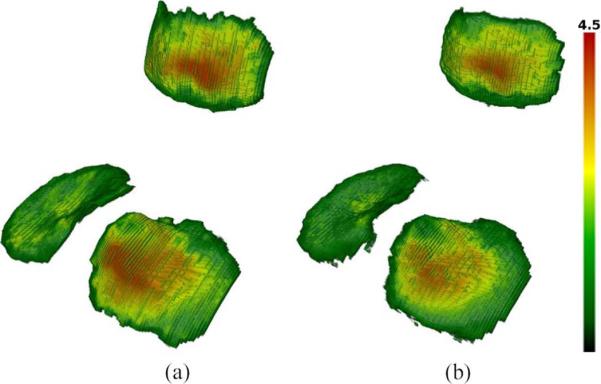 Fig. 7