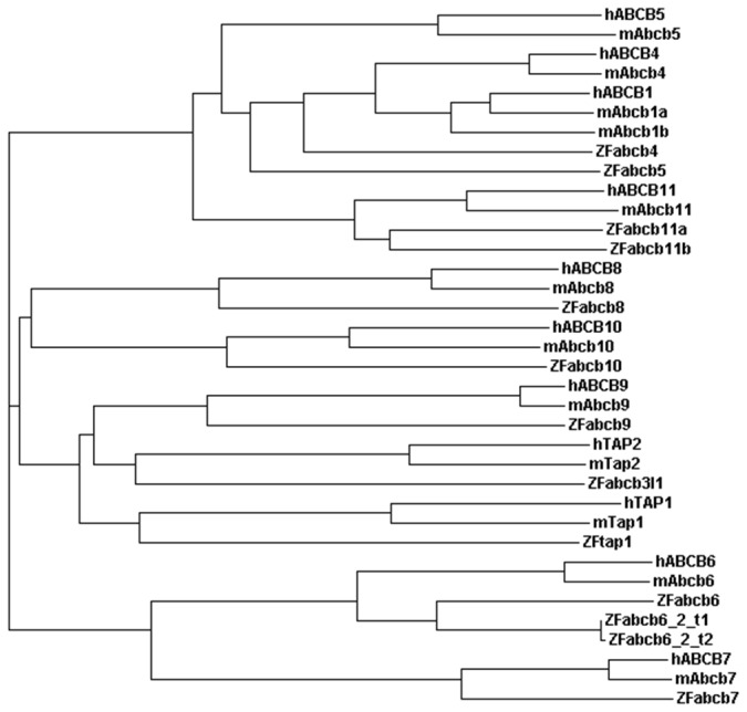 Figure 2