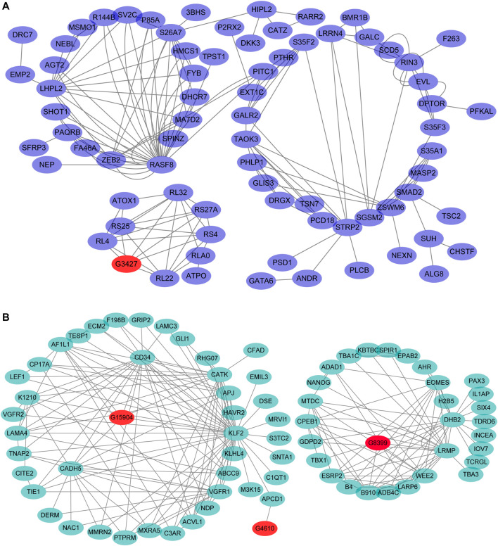 FIGURE 6