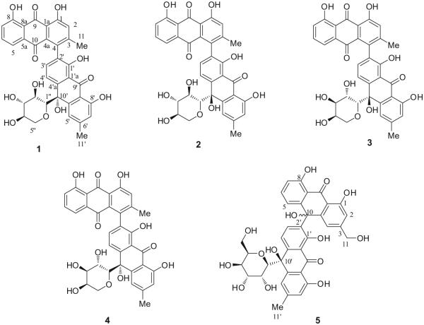 Fig. 1