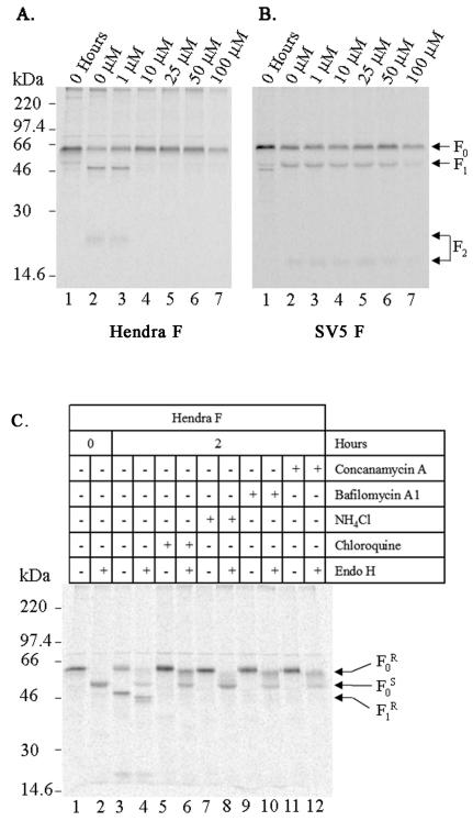 FIG. 6.