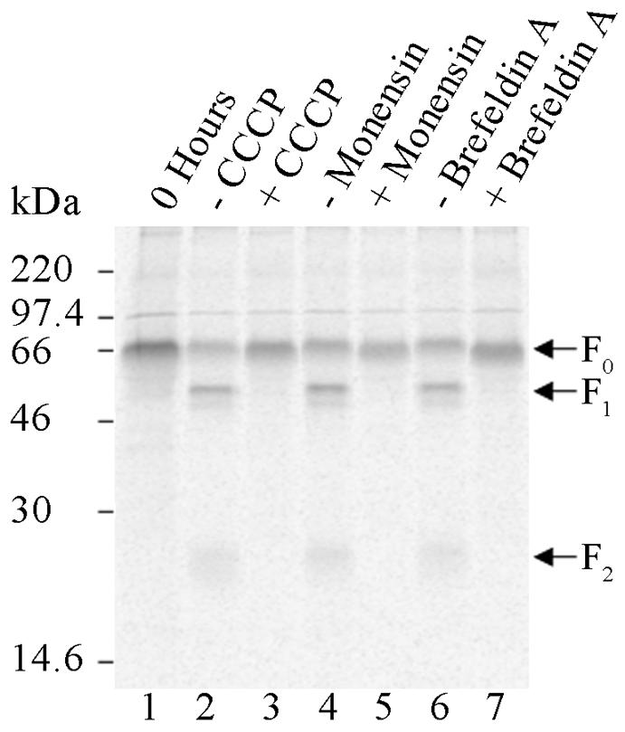 FIG. 3.