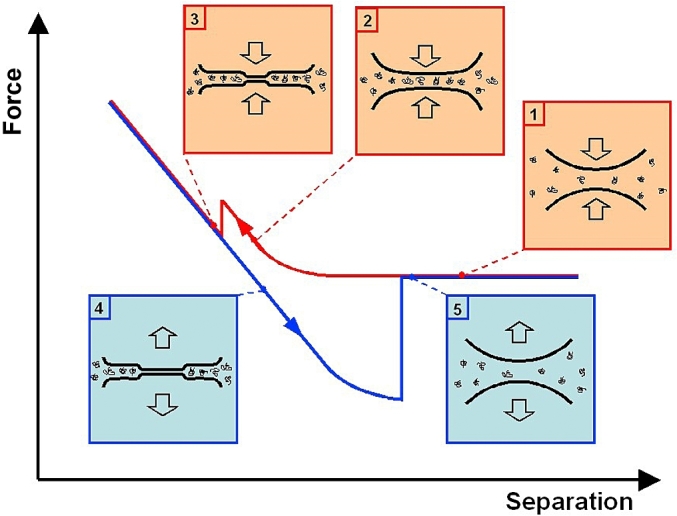 Fig. 19