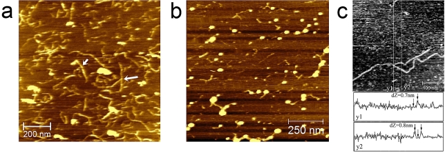 Fig. 2