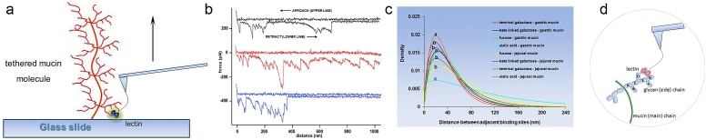 Fig. 7