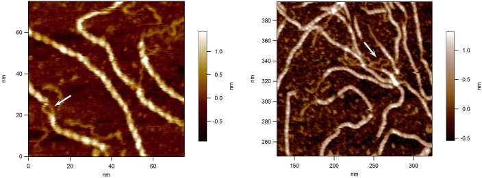 Fig. 1