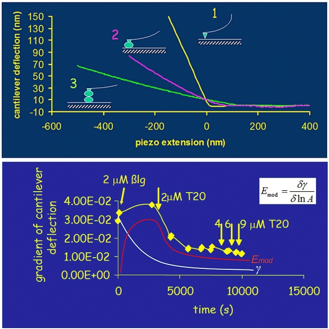 Fig. 10