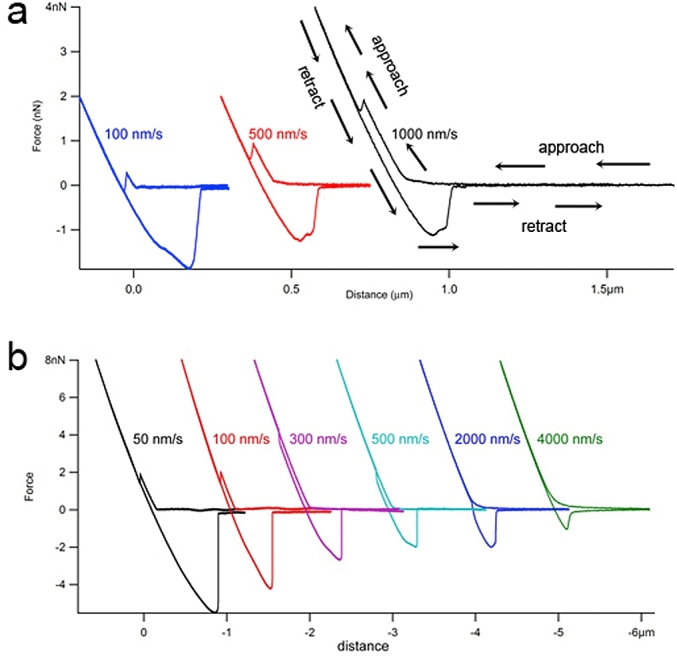 Fig. 17