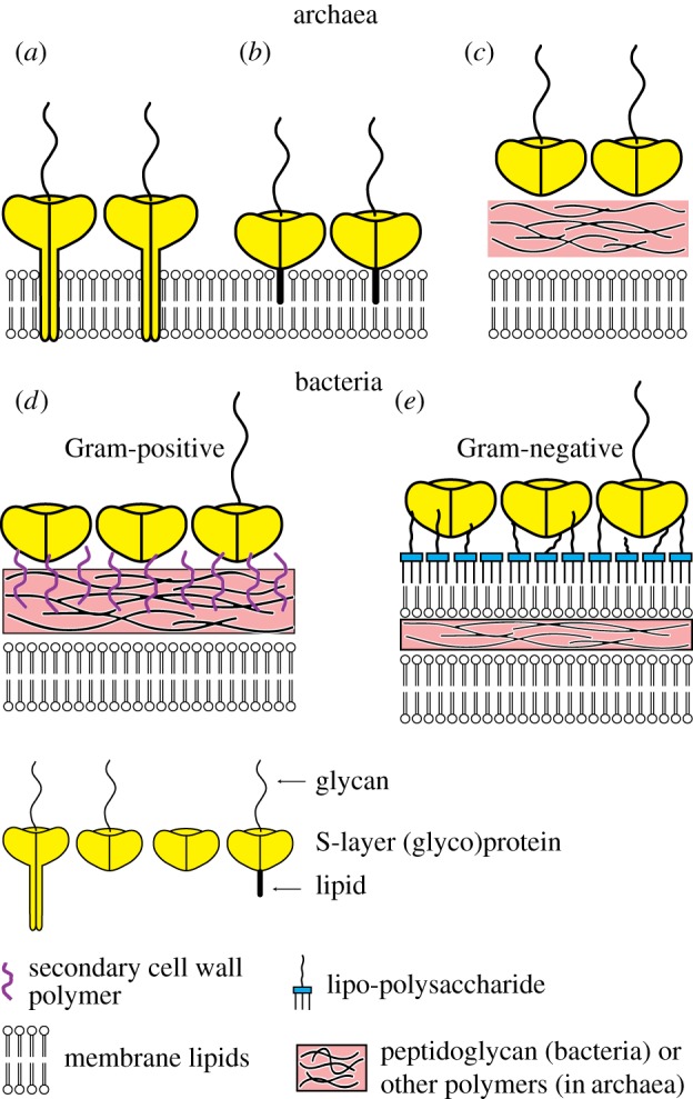 Figure 2.