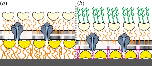 Figure 5.