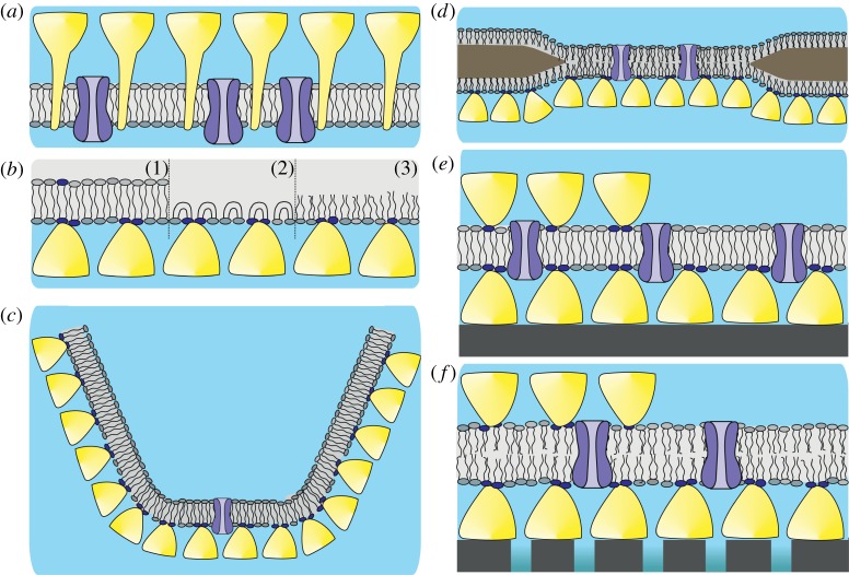 Figure 3.