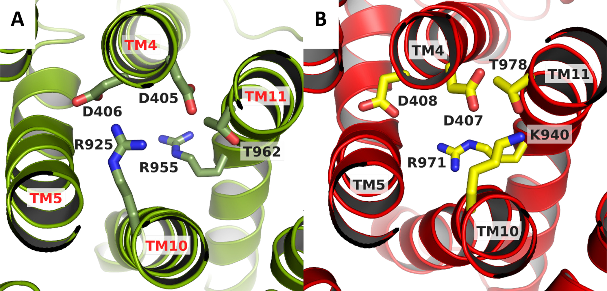 Figure 6.