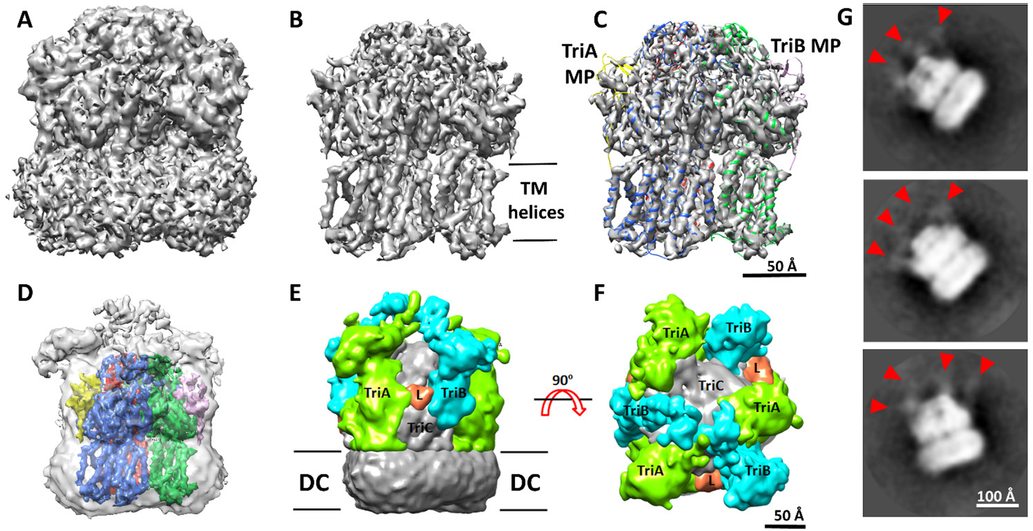 Figure 2.