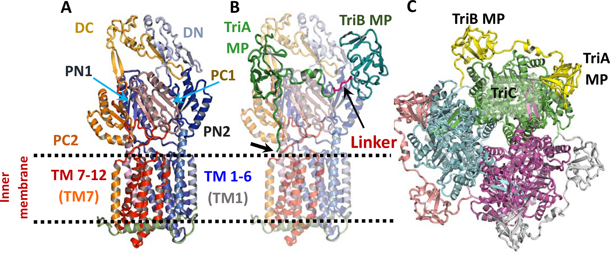 Figure 3.