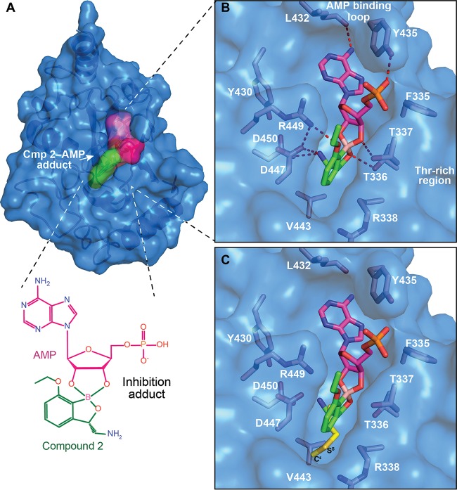 FIG 4