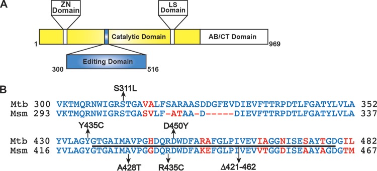 FIG 2