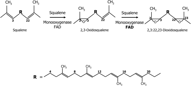 FIGURE 4