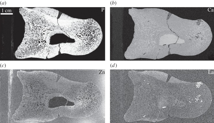 Figure 3.