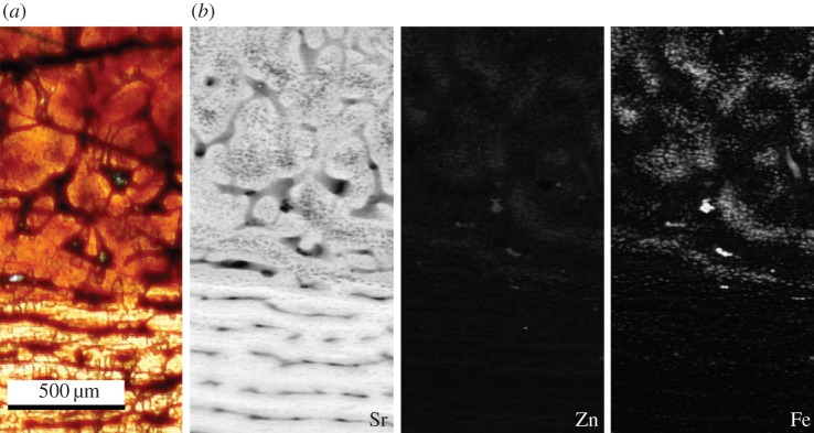 Figure 2.