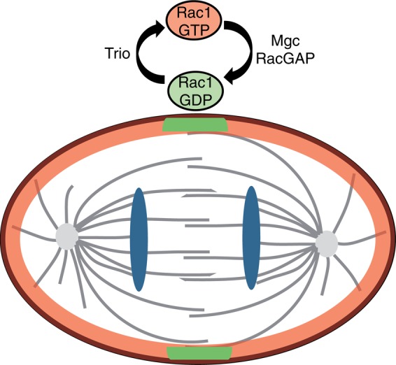 FIGURE 6: