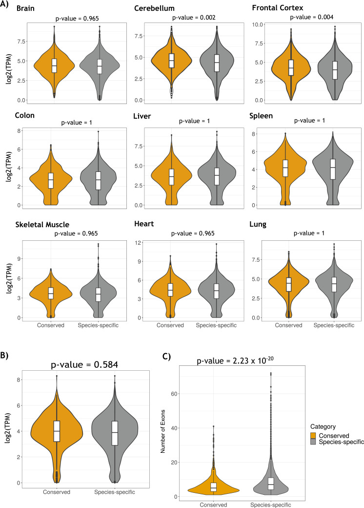 Figure 2—figure supplement 4.