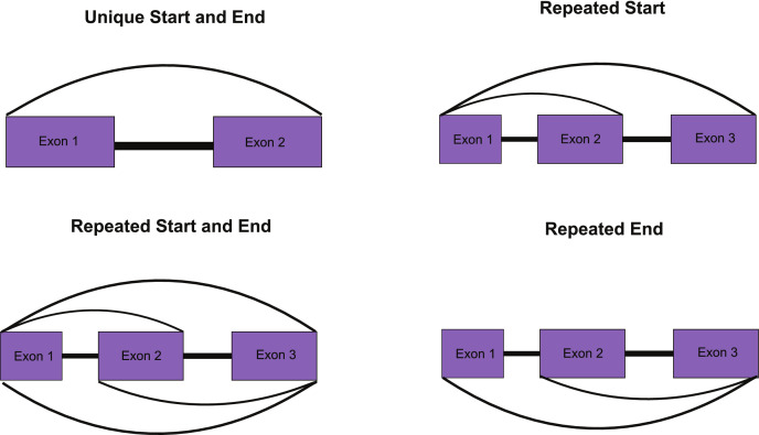 Figure 2—figure supplement 3.