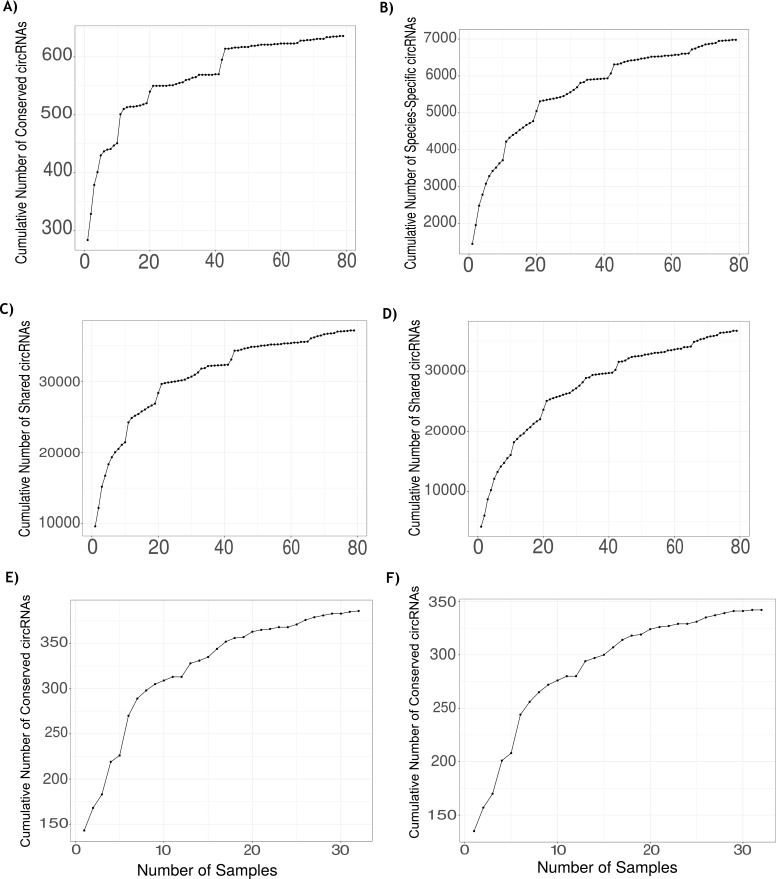 Figure 1—figure supplement 2.