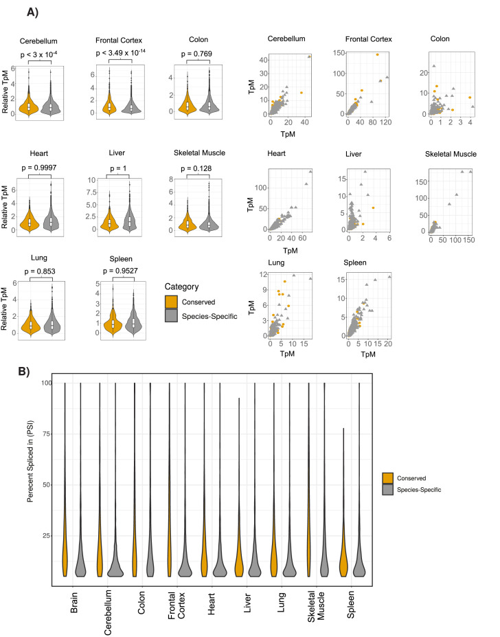 Figure 2—figure supplement 2.