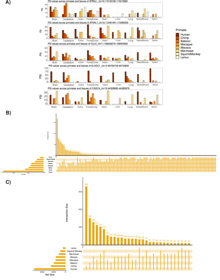 Figure 2—figure supplement 1.