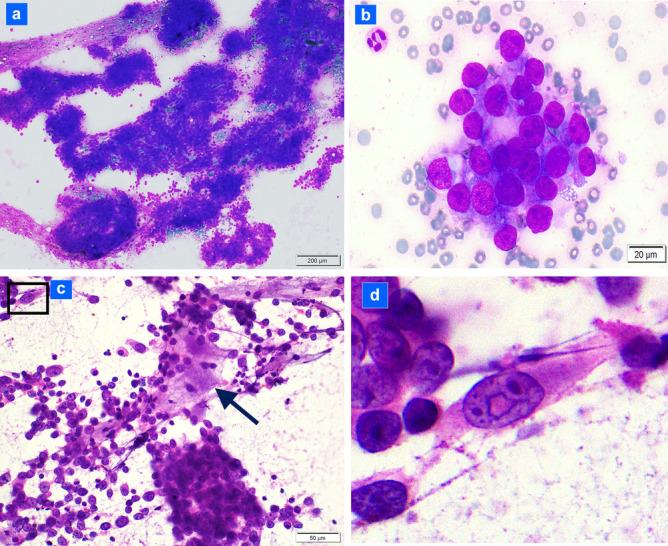 Fig. 2