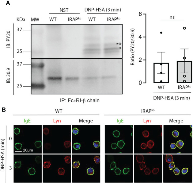 Figure 6