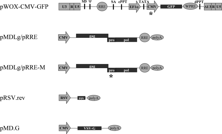 Fig. 5