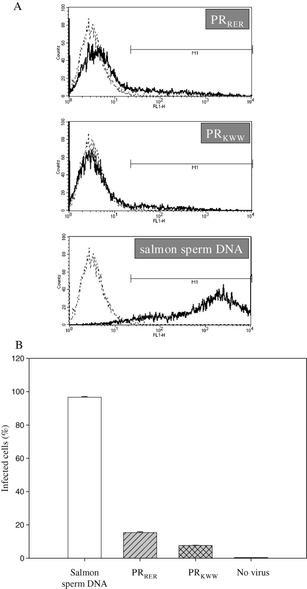 Fig. 7